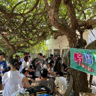 Bbq 6